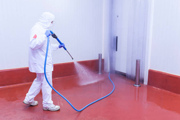 Best Spring Cleaning  in Wilmington, DE